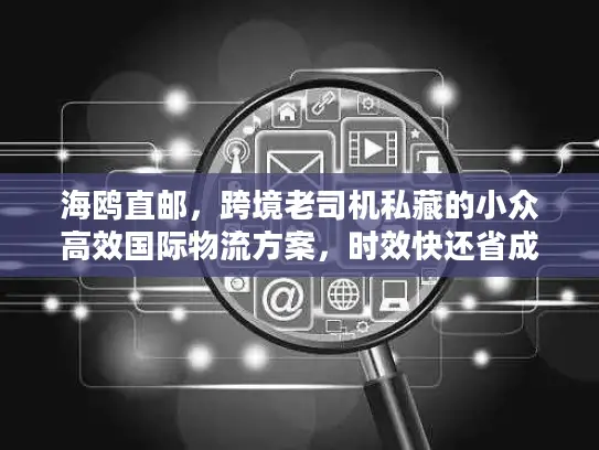 海鸥直邮，跨境老司机私藏的小众高效国际物流方案，时效快还省成本？
