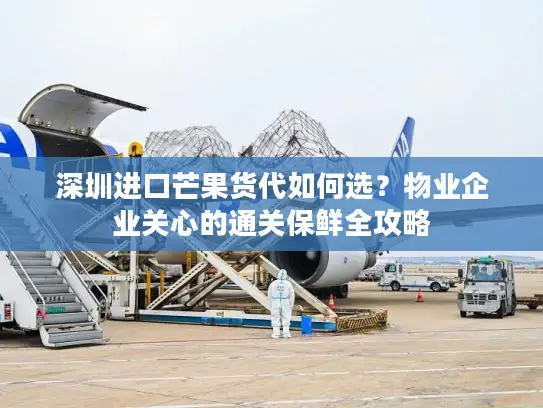 深圳进口芒果货代如何选？物业企业关心的通关保鲜全攻略