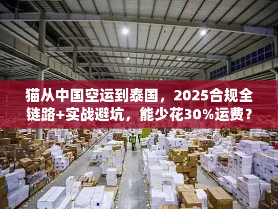 猫从中国空运到泰国，2025合规全链路+实战避坑，能少花30%运费？