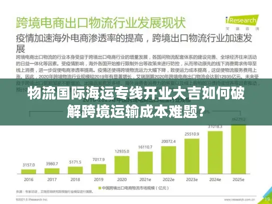物流国际海运专线开业大吉如何破解跨境运输成本难题？