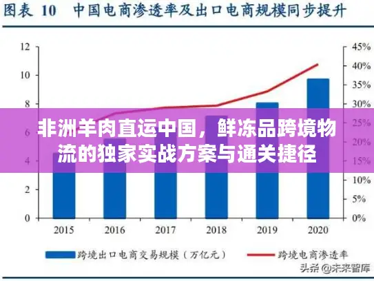 非洲羊肉直运中国，鲜冻品跨境物流的独家实战方案与通关捷径