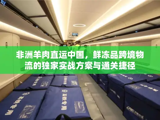 非洲羊肉直运中国，鲜冻品跨境物流的独家实战方案与通关捷径