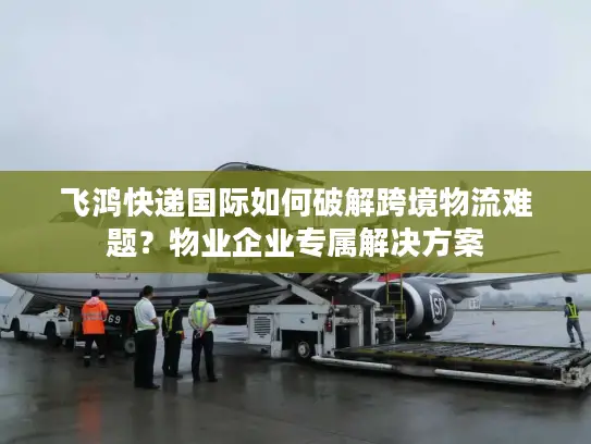 飞鸿快递国际如何破解跨境物流难题？物业企业专属解决方案