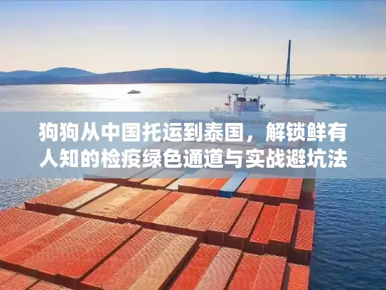 狗狗从中国托运到泰国，解锁鲜有人知的检疫绿色通道与实战避坑法