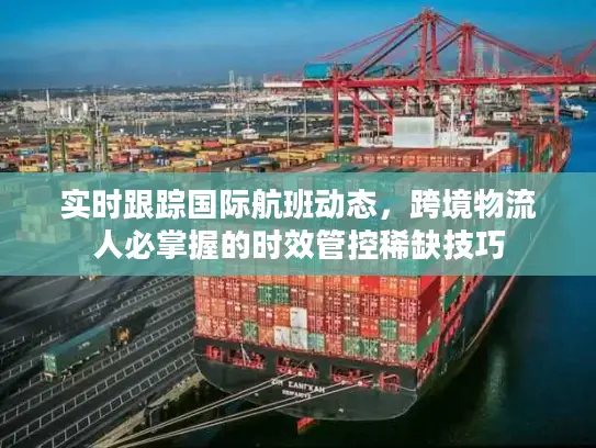 实时跟踪国际航班动态，跨境物流人必掌握的时效管控稀缺技巧