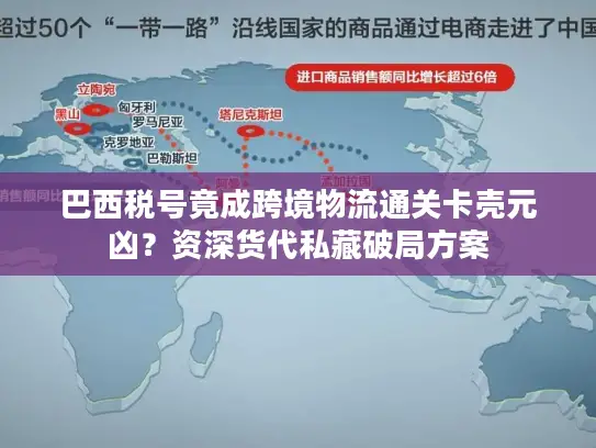 巴西税号竟成跨境物流通关卡壳元凶？资深货代私藏破局方案