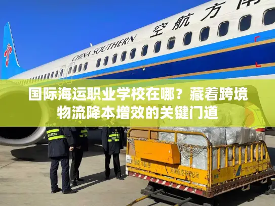 国际海运职业学校在哪？藏着跨境物流降本增效的关键门道