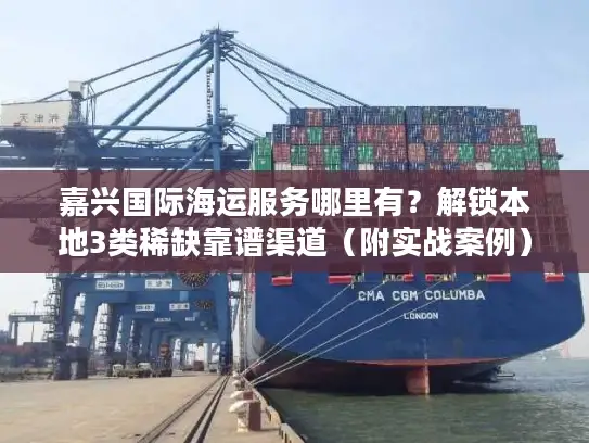 嘉兴国际海运服务哪里有？解锁本地3类稀缺靠谱渠道（附实战案例）