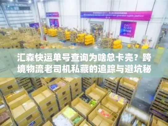 汇森快运单号查询为啥总卡壳？跨境物流老司机私藏的追踪与避坑秘籍