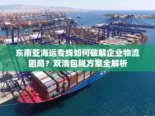 东南亚海运专线如何破解企业物流困局？双清包税方案全解析