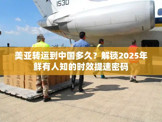 美亚转运到中国多久？解锁2025年鲜有人知的时效提速密码