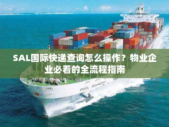 SAL国际快递查询怎么操作？物业企业必看的全流程指南