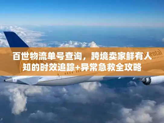 百世物流单号查询，跨境卖家鲜有人知的时效追踪+异常急救全攻略
