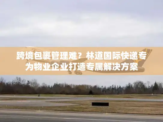 跨境包裹管理难？林道国际快递专为物业企业打造专属解决方案