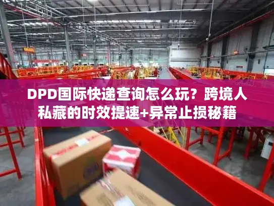 DPD国际快递查询怎么玩？跨境人私藏的时效提速+异常止损秘籍
