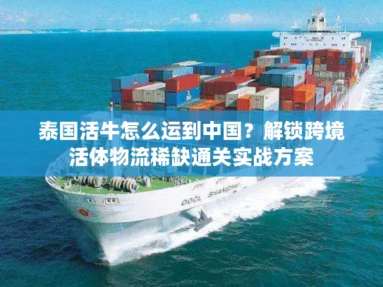 泰国活牛怎么运到中国？解锁跨境活体物流稀缺通关实战方案