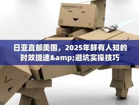 日亚直邮美国，2025年鲜有人知的时效提速&避坑实操技巧