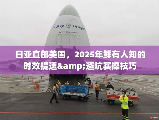 日亚直邮美国，2025年鲜有人知的时效提速&避坑实操技巧