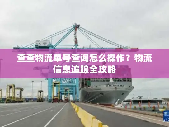 查查物流单号查询怎么操作？物流信息追踪全攻略