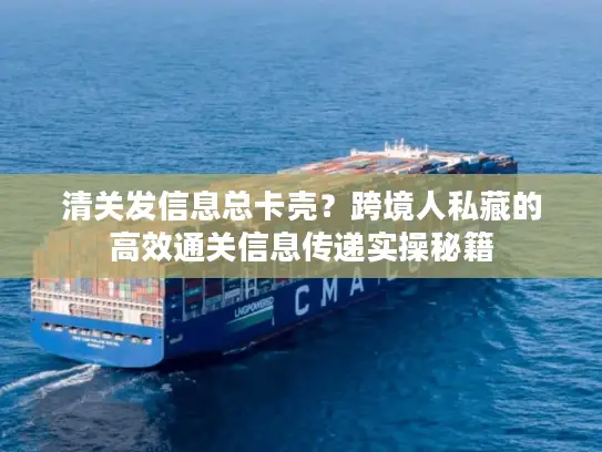 清关发信息总卡壳？跨境人私藏的高效通关信息传递实操秘籍