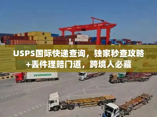 USPS国际快递查询，独家秒查攻略+丢件理赔门道，跨境人必藏