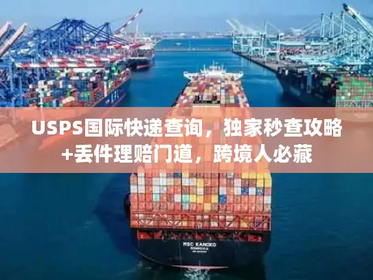 USPS国际快递查询，独家秒查攻略+丢件理赔门道，跨境人必藏