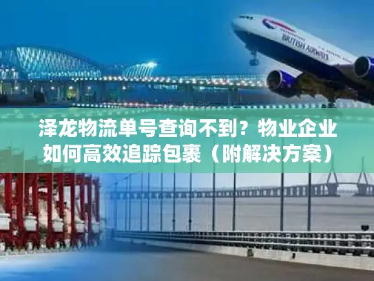 泽龙物流单号查询不到？物业企业如何高效追踪包裹（附解决方案）
