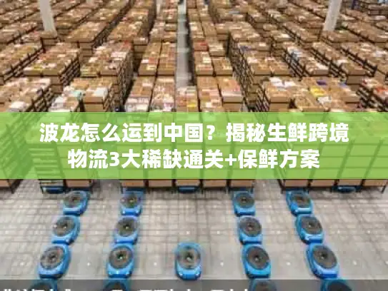 波龙怎么运到中国？揭秘生鲜跨境物流3大稀缺通关+保鲜方案