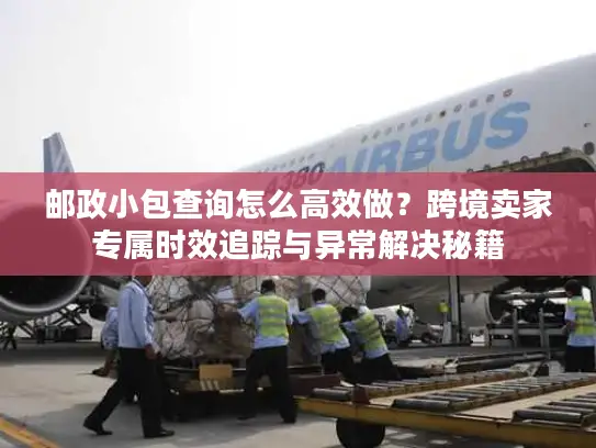 邮政小包查询怎么高效做？跨境卖家专属时效追踪与异常解决秘籍