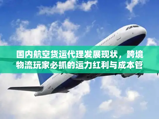 国内航空货运代理发展现状，跨境物流玩家必抓的运力红利与成本管控新逻辑