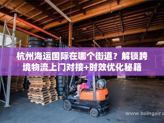 杭州海运国际在哪个街道？解锁跨境物流上门对接+时效优化秘籍