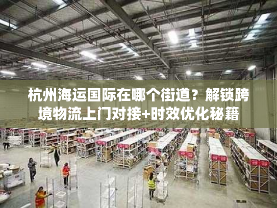 杭州海运国际在哪个街道？解锁跨境物流上门对接+时效优化秘籍