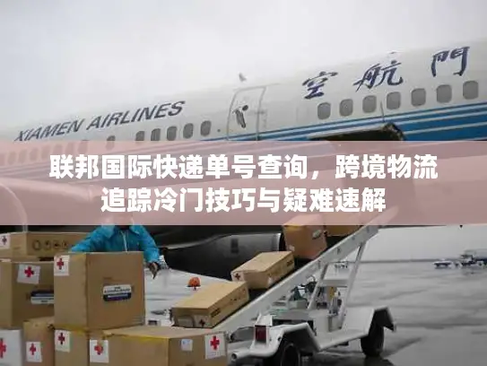 联邦国际快递单号查询，跨境物流追踪冷门技巧与疑难速解