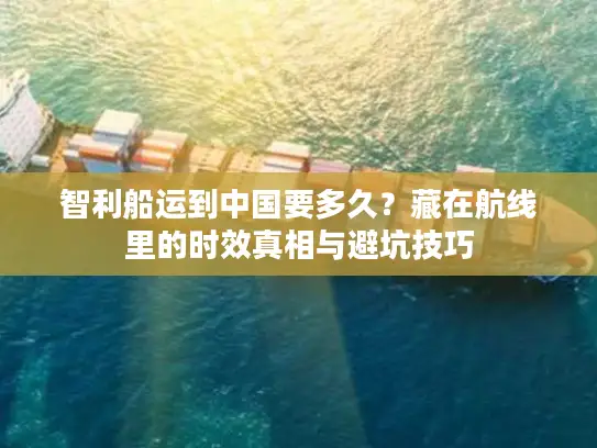 智利船运到中国要多久？藏在航线里的时效真相与避坑技巧