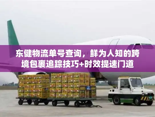 东健物流单号查询，鲜为人知的跨境包裹追踪技巧+时效提速门道