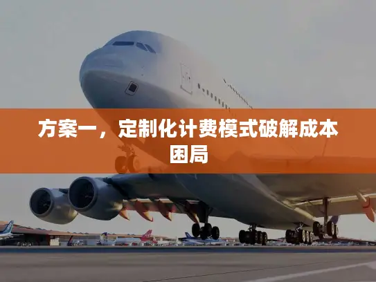 方案一，定制化计费模式破解成本困局