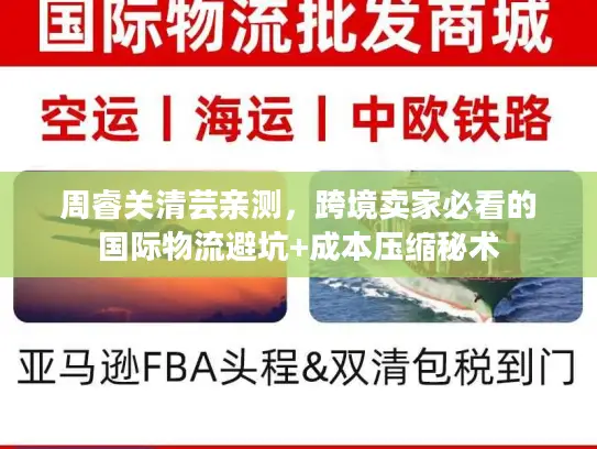 周睿关清芸亲测，跨境卖家必看的国际物流避坑+成本压缩秘术