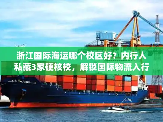 浙江国际海运哪个校区好？内行人私藏3家硬核校，解锁国际物流入行密码