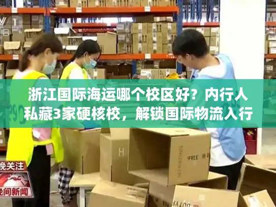 浙江国际海运哪个校区好？内行人私藏3家硬核校，解锁国际物流入行密码