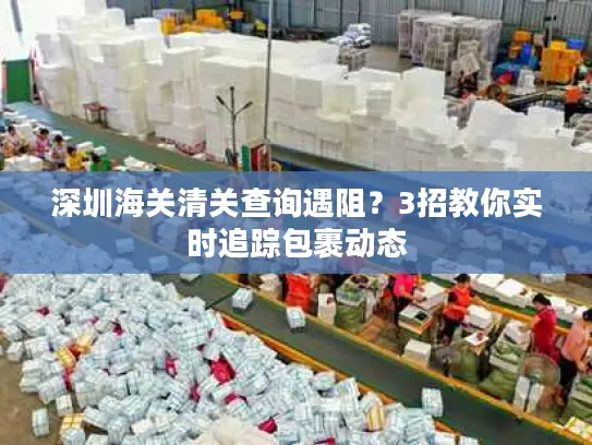 深圳海关清关查询遇阻？3招教你实时追踪包裹动态