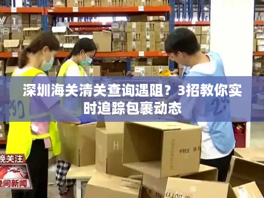 深圳海关清关查询遇阻？3招教你实时追踪包裹动态