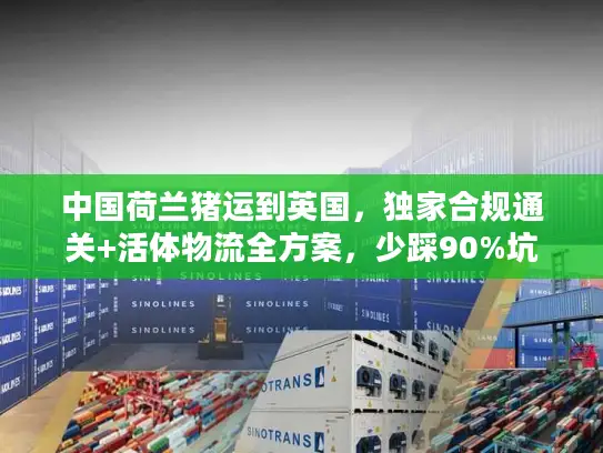 中国荷兰猪运到英国，独家合规通关+活体物流全方案，少踩90%坑