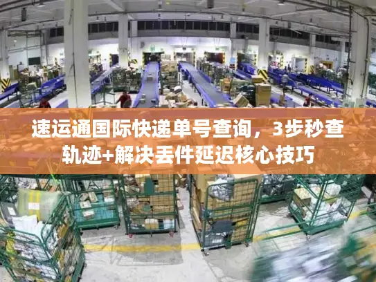 速运通国际快递单号查询，3步秒查轨迹+解决丢件延迟核心技巧