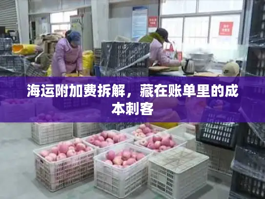海运附加费拆解，藏在账单里的成本刺客