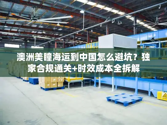澳洲美瞳海运到中国怎么避坑？独家合规通关+时效成本全拆解