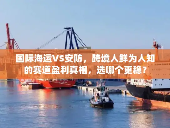 国际海运VS安防，跨境人鲜为人知的赛道盈利真相，选哪个更稳？