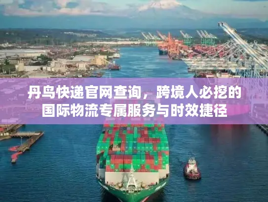 丹鸟快递官网查询，跨境人必挖的国际物流专属服务与时效捷径