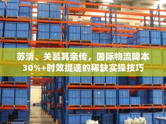 苏清、关慕其亲传，国际物流降本30%+时效提速的稀缺实操技巧