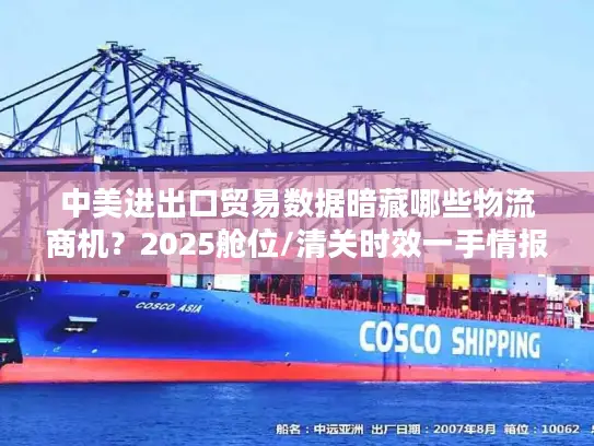 中美进出口贸易数据暗藏哪些物流商机？2025舱位/清关时效一手情报