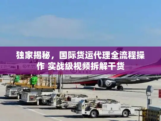 独家揭秘，国际货运代理全流程操作 实战级视频拆解干货